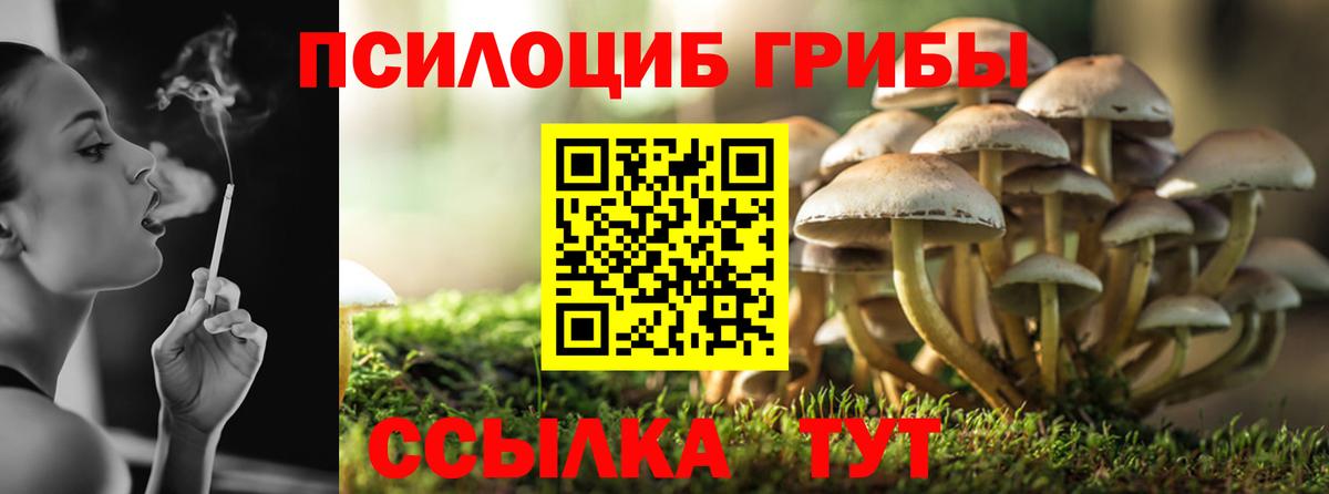 Горячий Ключ  Галлюциногенные грибы ЛСД  Вход с VPN  Галлюциногенные грибы мухоморы 